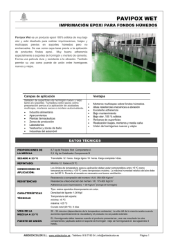 Pavipox Wet (Imprimaci&oacute;n Antihumedad)