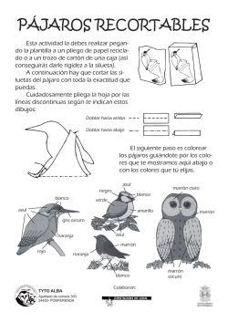 P&Aacute;JAROS RECORTABLES