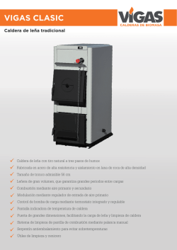 Flyer calderas de le&ntilde;a tiro natural Vigas 2015