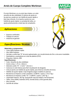 arnes msa workman 10072491 posicion 3 argollas