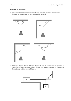 TP 02 Fuerzas y equilibrio