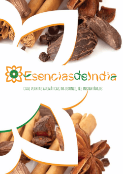 chai, plantas arom&aacute;ticas, infusiones, t&eacute;s