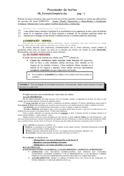 Procesador de textos