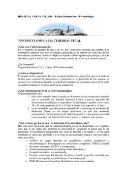 Ventriculomegalia cerebral fetal