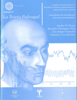 La Teor&iacute;a Polivagal - Psicoterapia Bilbao