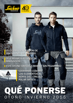 descargar PDF - Snickers Workwear