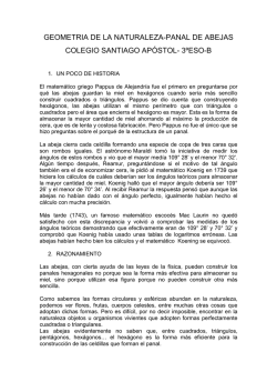 GEOMETRIA DE LA NATURALEZA -3&ordm;B geometria del