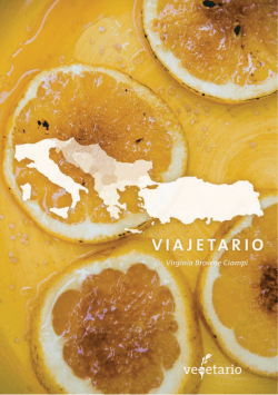 VIAJETARIO(descargable)