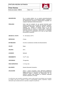 FICHA TECNICA PINTURA NEGRA SATINADA
