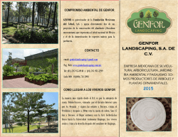 tr&iacute;ptico - Genfor Landscaping