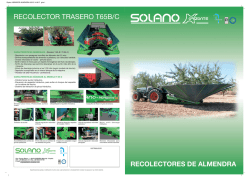 recolectores de almendra