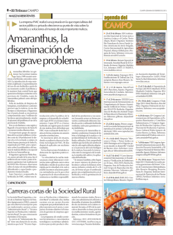 Amaranthus, la diseminaci&oacute;n de un grave problema