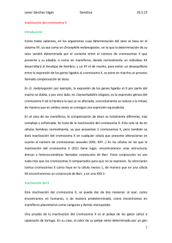 Javier S&aacute;nchez Utg&eacute;s Gen&eacute;tica 29.3.15 Inactivaci&oacute;n del cromosoma