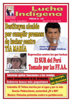 Lucha Ind&iacute;gena No. 107 PDF