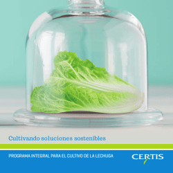 Cat&aacute;logo Lechuga