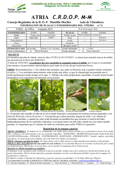 ATRIA C.R.D.O.P. M-M