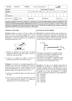 tp6a parcial completo