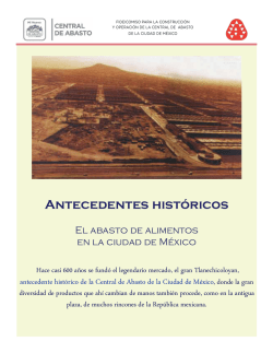 Antecedentes hist&oacute;ricos