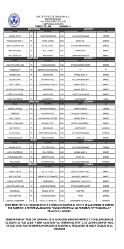 sector infantil - liga de futbol de tehuacan ac