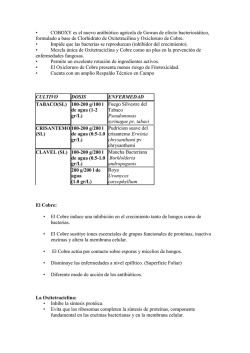 &bull; COBOXY es el nuevo antibi&oacute;tico agr&iacute;cola de Gowan de efecto