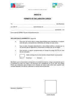 ANEXO 04 FORMATO DE DECLARACI&Oacute;N JURADA