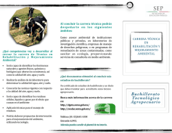 T&eacute;cnico en Rehabilitaci&oacute;n y Mejoramiento Ambiental - dgeta