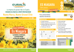 Es Niagara - Euralis Semillas