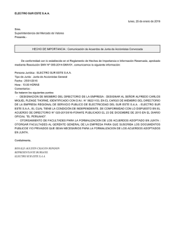 ELECTRO SUR ESTE SAA lunes, 25 de enero de 2016 Sres