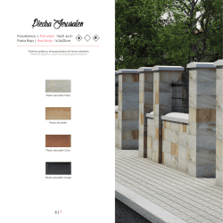 Porcel&aacute;nico | Porcelain 15x31,6cm Pasta Roja | Red Body