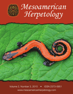 Untitled - Mesoamerican Herpetology