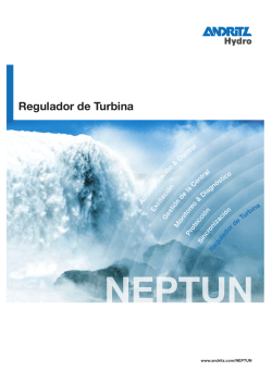 NEPTUN &ndash; Regulador de Turbina