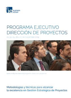 Programa EjEcutivo DirEcci&oacute;n DE ProyEctos