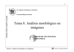 Tema 8. An&aacute;lisis morfol&oacute;gico en im&aacute;genes