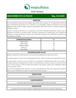Reg. ICA 6629 MEJICORRECTIO CA POLVO