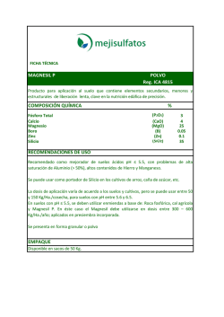 magnesil-p-polvo