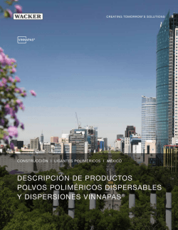 descripci&oacute;n de productos polvos polim&eacute;ricos