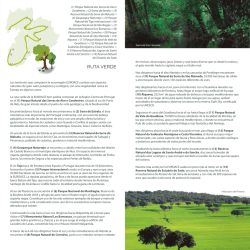 RUTA VERDE - Creativia Marketing