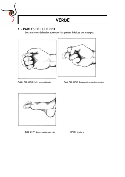 VERDE - Escuela Hanol