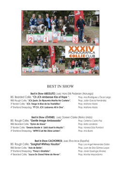 BEST IN SHOW - Collie Club de Espa&ntilde;a