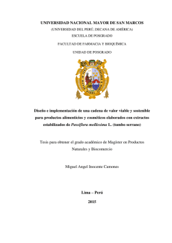 Tesis Miguel Angel Inocente