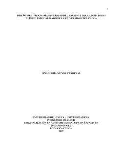 DISE&Ntilde;O DEL PROGRAMA SEGURIDAD DEL PACIENTE DEL