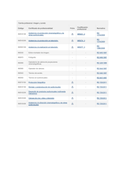 Familia profesional. Imagen y sonido C&oacute;digo