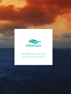 INFORME DEL SECTOR GAS NATURAL 2014