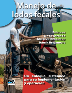 Un enfoque sist&eacute;mico para su implementaci&oacute;n y operaci&oacute;n