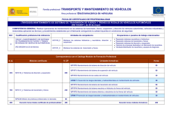 Familia profesional: TRANSPORTE Y MANTENIMIENTO DE