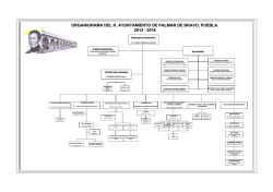Organigrama - Gobierno de Palmar de Bravo