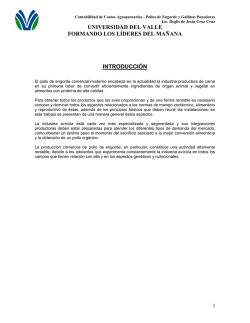 material didactico pollos de enogorde y gallinas