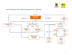 Descargar Mapa Conceptual Trastornos Hipertensivos del