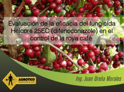 Roya en Cafe - Efecto del Fungicida Helcore 25 EC