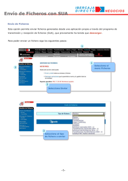Env&iacute;o de Ficheros con SUA
